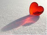 heart1.jpg